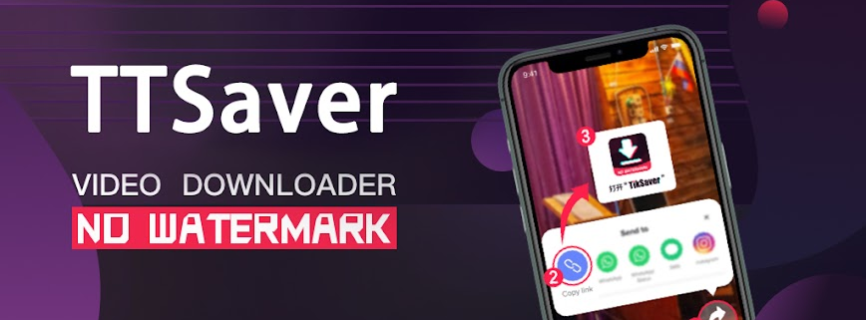 TikSaver
