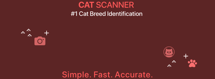 Cat Scanner